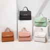 Leisure Small Square Bag Autumn and Winter New Women's Bag Simple Handbag Embossed Chain Bag Cross-border Bags