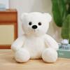16 Colors Super Soft PP Cotton Filled Giant Teddy Bear Plush Toy with Stress Relief Function for Valentine's Day Gift