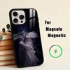 DD-Dr  Phone Case For iPhone17,16,15,14,13,12,11 Plus,Pro Magnetic with Magsafe Wireless Charging