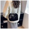 Plüschtasche Damen Herbst und Winter neue Clutch Mode und hochwertige flauschige Tasche einzelne Schulter Umhängetasche tragbare flauschige Tasche