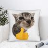 Pet Cat Funny Memes Pillow Cover Print Cushion Cover Vintage Pillow Case For Living Room Sofa