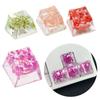 Resin Keycap OEM Profile for Mechanical Keyboards Backlights Keycap Dry Flowers Keycap For Game Computer Keycaps 1PC