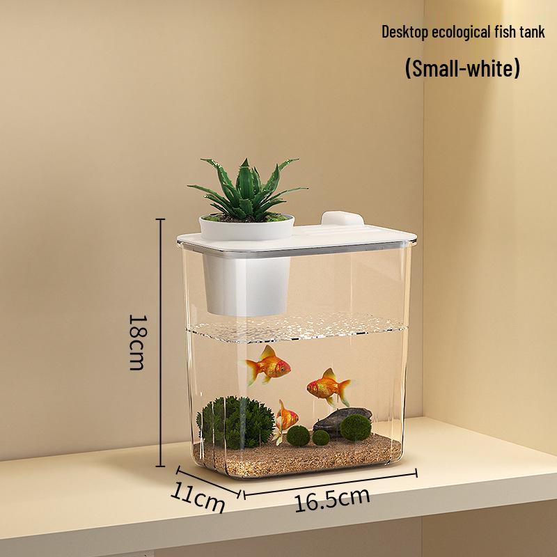 Ultra-Clear Acrylic Fish Tank 2026: Compact Living Room Aquarium with Durable Filter