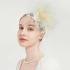 Fascinators for Women Tea Party Headband Kentucky Derby Hats Cocktail Flower Mesh Feathers Headwear Hair Clip for Wedding