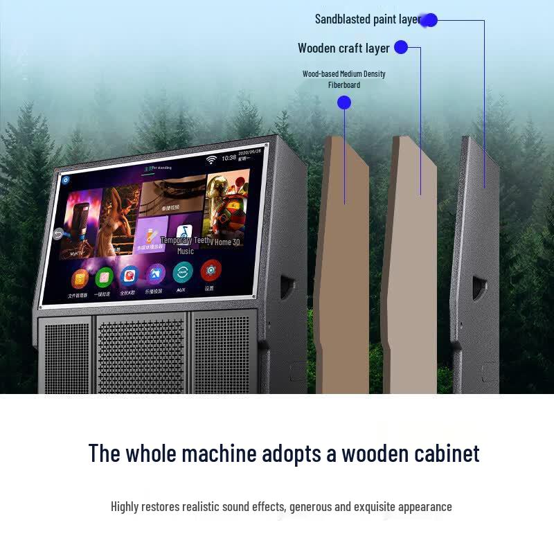 SAST SA-211 Home KTV Karaoke Audio System (CN version)