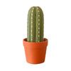 1/2 Sets Cactus Chess Game with Roll-up Chessboard Portable Travel 3D Printed Cactus Board Game Educational Chess Toy Decoration Plant Lovers Gift