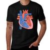 Labeled Heart Anatomy TShirt Urban Style Casual Short Sleeve Top