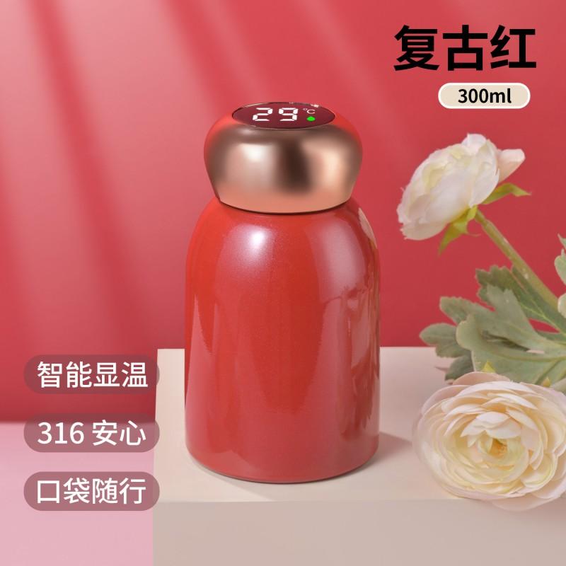 Stainless Steel Vacuum Insulated Travel Mug 300ml Portable Mini Cup Women Men Kids Office Outdoor