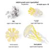 Pediatric Cognitive Simulation: Mini Salmon Growth Cycle Toy