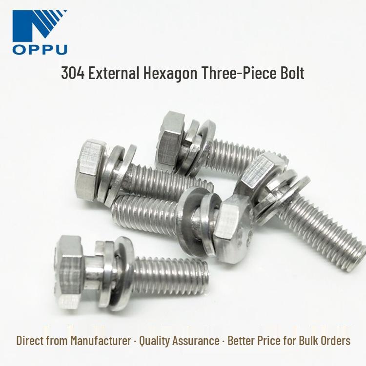 304 Stainless Steel Hex Head Bolt with Flat and Spring Washer Combination