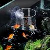 Acrylic Acrylic Aquarium Fish Feeder Rectangle/Round Floating Fish Food Tray Fish Tank