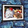 Full Square Diamond Painting Christmas Tree 5d DIY Lovely Cat Diamond Embroidery Christmas Gift Cross Stitch Mosaic Needlework Home Decor Handicraft