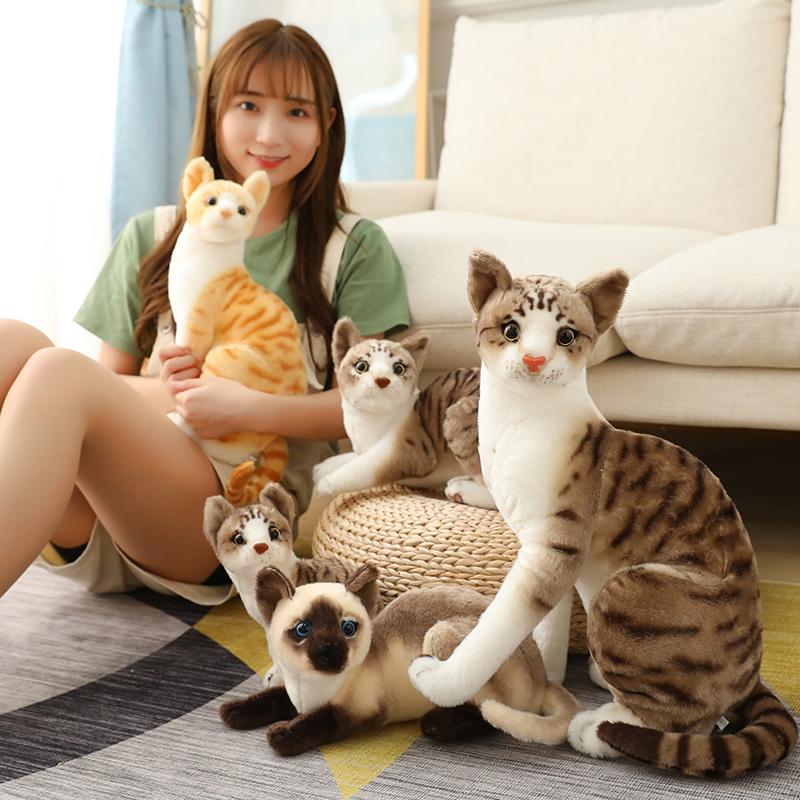 Peluche Chat Siamois Réaliste Simulation American Shorthair Mignonne Poupée Chat Jouets pour Animaux Décoration Intérieure Cadeau Pour Enfants Anniversaire