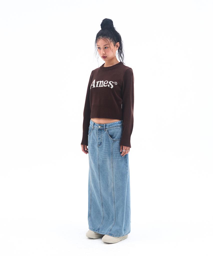 AMES-WORLDWIDE Basic Pullover Knit Brown