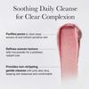 arencia *renew* Fresh Rosehip Rice Mochi Cleanser 120g
