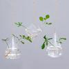 3 Pcs Hanging Glass Planter Clear Plant Propagation Stations Hydroponic Flower Vase for Indoor Home Office Living Room Decor