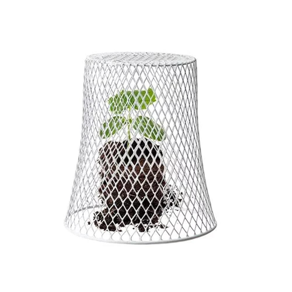 2pcs Plant Protection Wire Cloche Perfect For Plants Flowers And Vegetables SALE