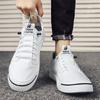 Men Casual Shoes Ice Silk Canvas Shoes for Men Walking Shoes Outdoor Sneakers Male Breathable Footwear