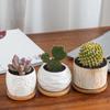 Simple Bamboo Wood Tray Round Square Hexagon Flowerpot Base Planters Pot Stander Succulents Bonsai Holder Home Decoration