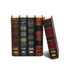 Dark City 5 Types: Hollywood, Bristol, Deadwood, Tortuga, Salem Mafia Board Game Book Series