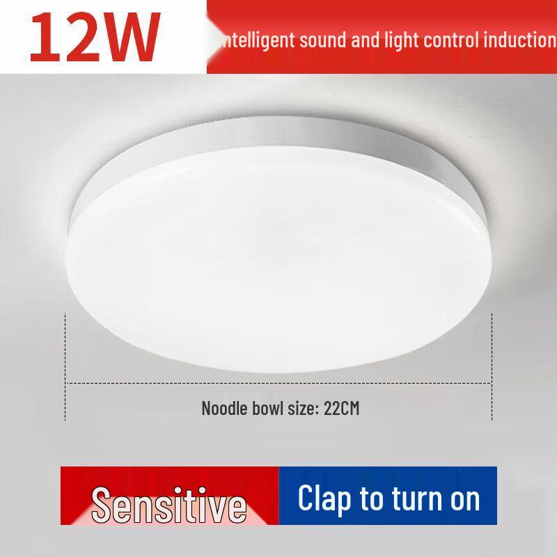 Liangtu LED Sensor Ceiling Light
