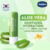 Vaseline Lip Care Aloe Vera Lip Balm Stick 4.8g Pack of 1 Up To 48Hr Moisturization Soft Lips