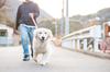 EZYDOG (Authorized Distributor) Soft Trainer Dog Leash, 120cm, Gray