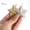 6Pcs Sparkling 3D Star Shape Christmas Pendant with Lanyard Glitter Star Christmas Tree Ornament DIY Craft Party Decor