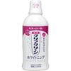 Clear Clean Plus Whitening Dental Rinse Apple Mint 600mL
