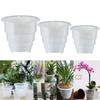 Concise Transparent Orchid Flower Pots Planter Meshpot Plant Pot Plant Container
