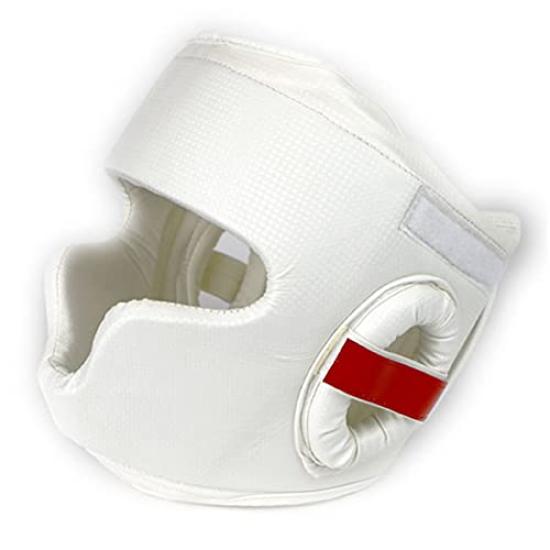 ISAMI Wide View Head Guard II TT-45 (L)