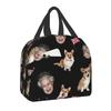 Schnauzer Kaffee Hunderasse Haustier Kunst Reinrassig Cafés Isolierte Lunchtasche für Frauen Auslaufsichere Kühltasche Thermische Bento-Box