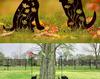 Small Dog Silhouette Garden Ornament: Hollow Iron Art Lawn Decoration.