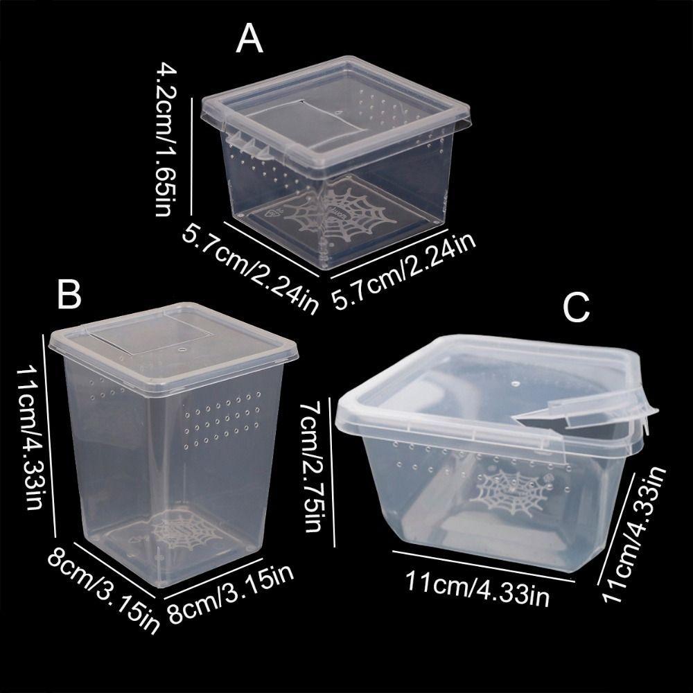for Scorpion Spider Ants Reptile Accessories Plastic Hatching Tank Lizard Living Box Insect Feeding Box Reptile Habitat