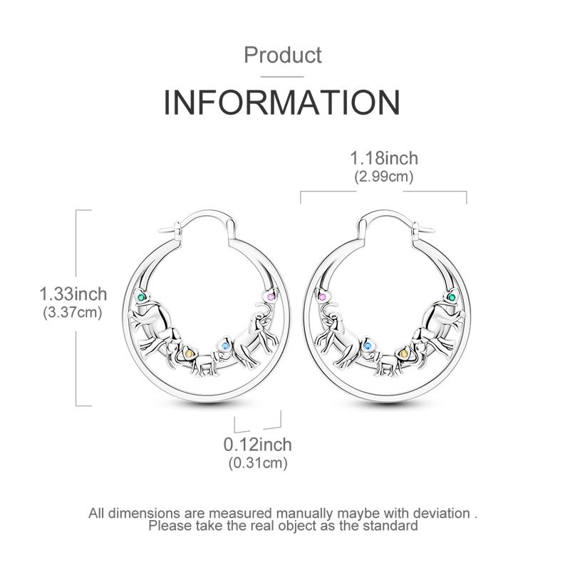 Original 925 Sterling Silver Tassel Earrings Women 2025 Zircon Ear Studs Sparkling Pave Hoop Earring Anniversary Jewelry Gift