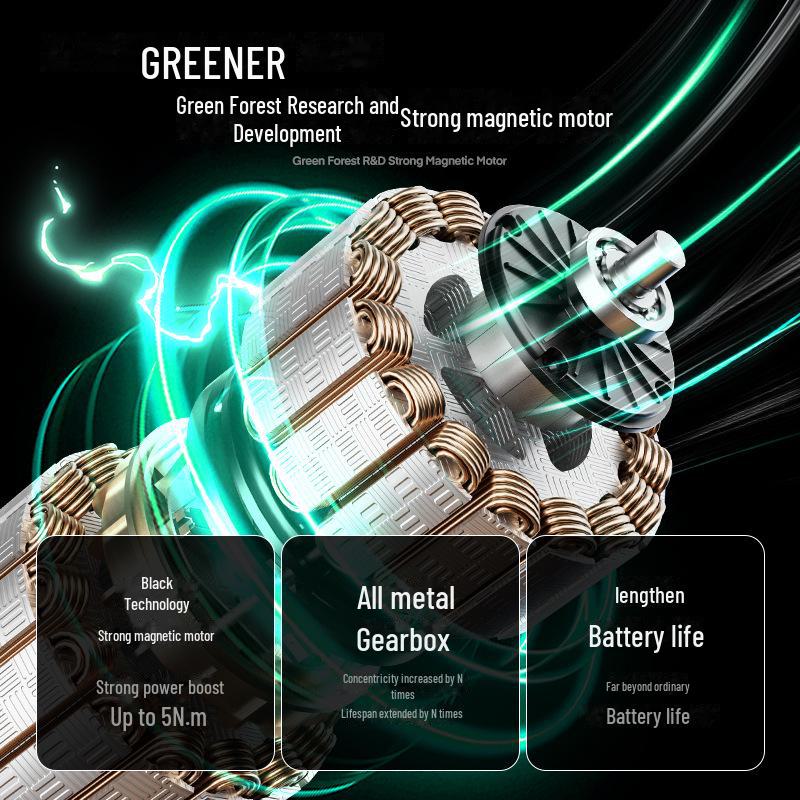 Tournevis électrique rechargeable de type T et ensemble de perceuse Green Forest