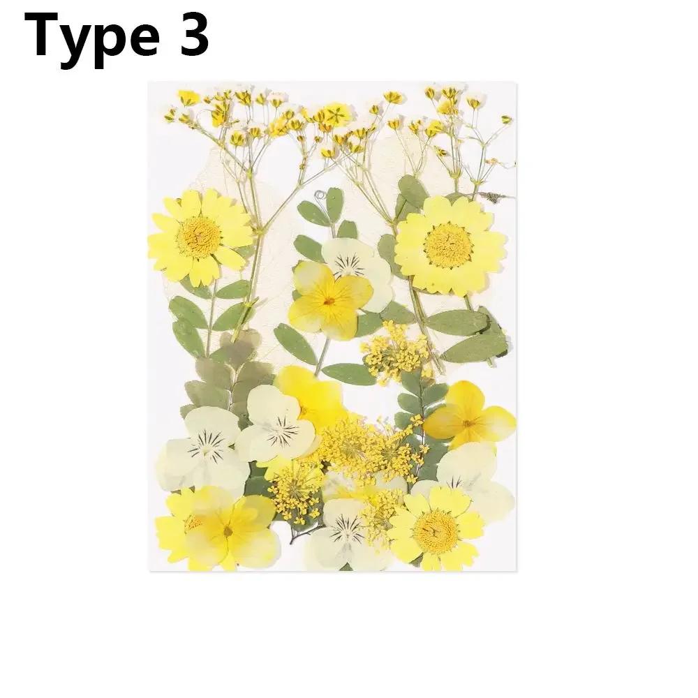 Dried Flowers UV Resin Decorative Natural Flower Stickers 3D Pressed Dried Flowers Beauty Decal Nail Art Epoxy Mold Filling