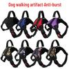 Dog Leash and Collar Harness Set for Small, Medium, and Large Breeds - Ideal for French Bulldogs, Golden Retrievers, and Poodles