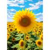Zonnebloem glimlach (Plastic) Legpuzzel Bloemenlandschap 1000 Stukjes, populaire Koreaanse puzzel