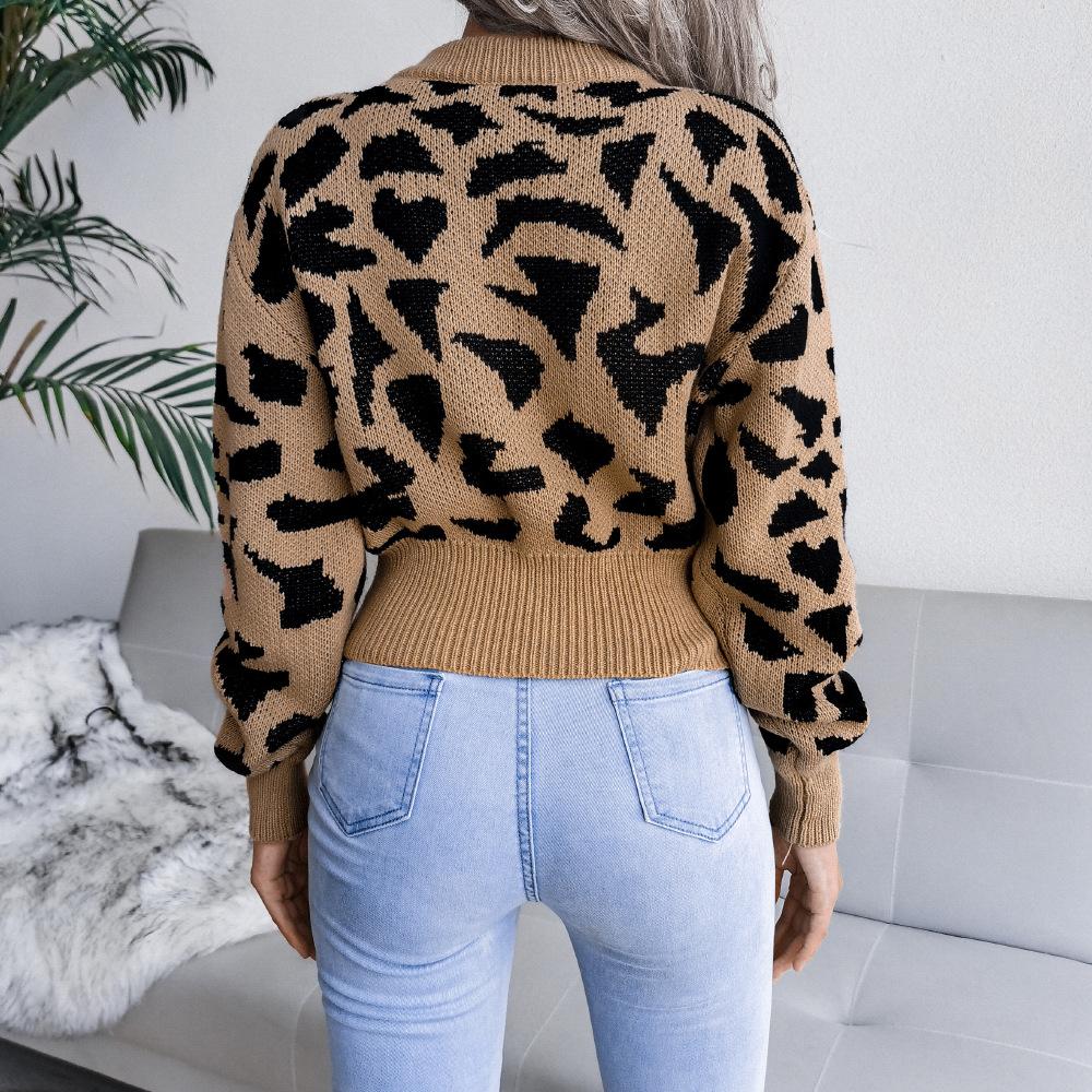 Women Knitted Sweatshirt Crew Neck Long Sleeve Jumpers Loose Leopard Print Pullover Sweater Loos Knit Tunic Tops