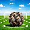 1 st Varg Ros Fantasy Hållbar Storlek 5 Fotboll Professionell Match Träning Fotboll Inomhus & Utomhus Sportboll p60181