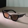 Stylish Cat Eye Sunglasses Women Men Vintage Brand Mirror Lens Simple Sun Glasses Female Male Cool Colors