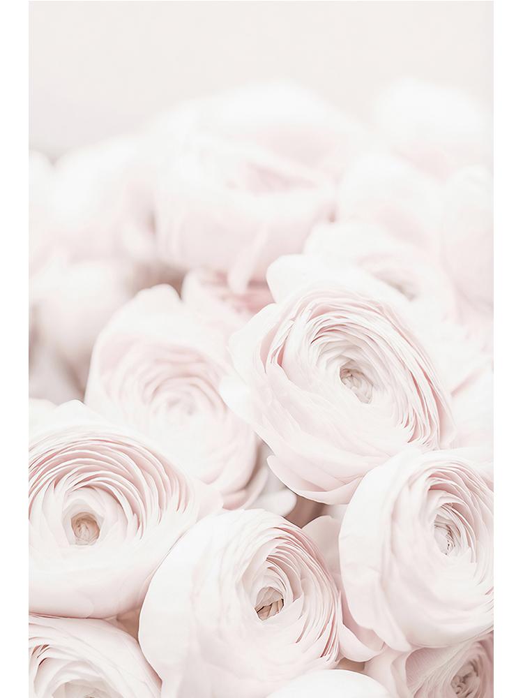 Bouteille de parfum de luxe, fleur de pivoine, peinture sur toile, affiche de mode de beauté Coco, images d'art murales imprimées pour décoration de salon et de maison