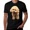 Muffin The Toy Poodle Tshirt Casual Everyday Short Sleeve Tshirt