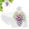 50 Peças de Sacos de Proteção para Frutas, 20x30 cm Sacos de Rede Branca para Cobertura de Frutas com Cordão Protetores de Frutas Barreira contra Pragas para Planta Fruta Flor Vegetais