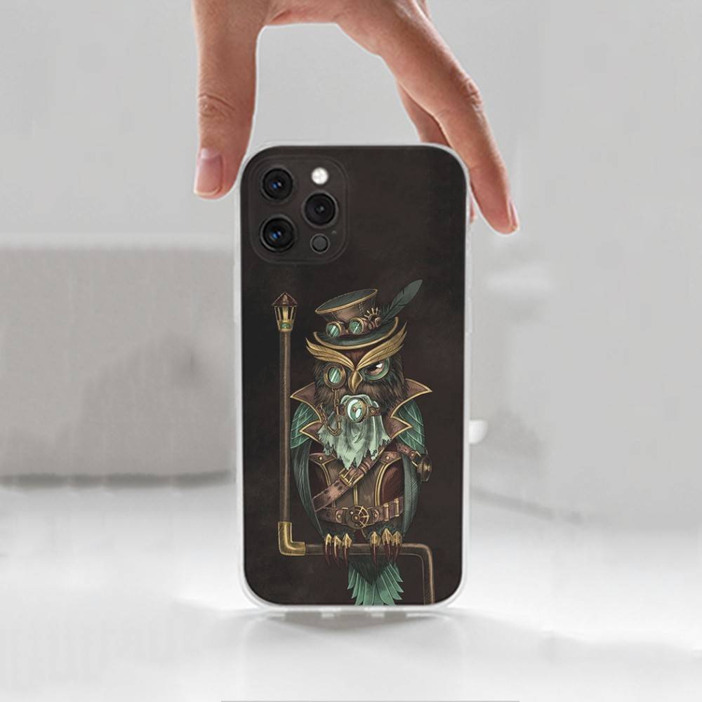 Cute C-Colorful Owl B-Bird Case For iPhone X,XS,SE,12,15,Pro,17,Plus,11,Max,13,XR,14,16,Mini,Transparent Soft Cover