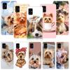 Yorkshire Terrier Dog Puppy Phone Case For Samsung Galaxy A12 A22 A32 A42 A52 A72 A51 A71 5G A41 A31 A21 A02S M12 M21 M31 M30S