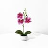 Orhidee Fluture Plantă Artificială Decor Casă Cu Frunze din Plastic Pentru Sufragerie și Birou