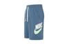Sports Shorts Men's Blue Moderate AR2376-058