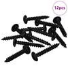 Self Tapping Nail 12 Pcs Black 4 * 25 Mm Steel